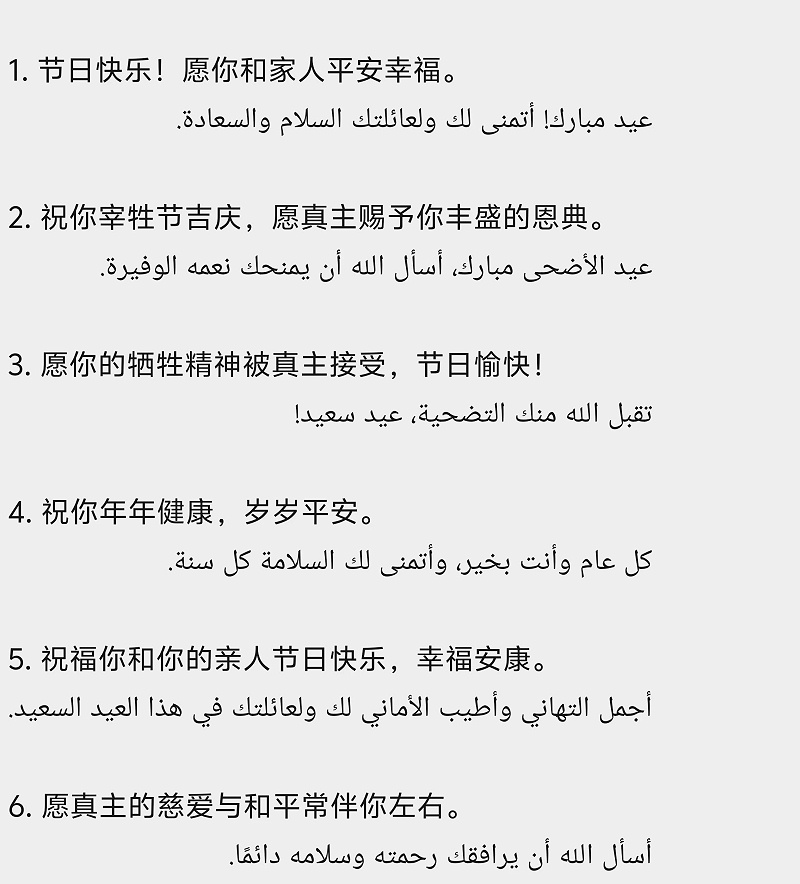安时达物流宰牲节活动十一
