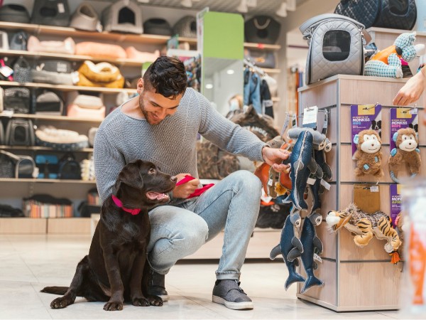 安时达沙特海运，宠物用品沙特GCC认证具体流程是怎样的？